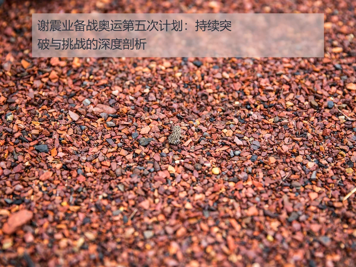 谢震业备战奥运第五次计划:持续突破与挑战的深度剖析